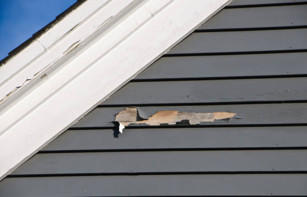 Best James Hardie Siding  in Mante, CA